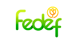 Fedef